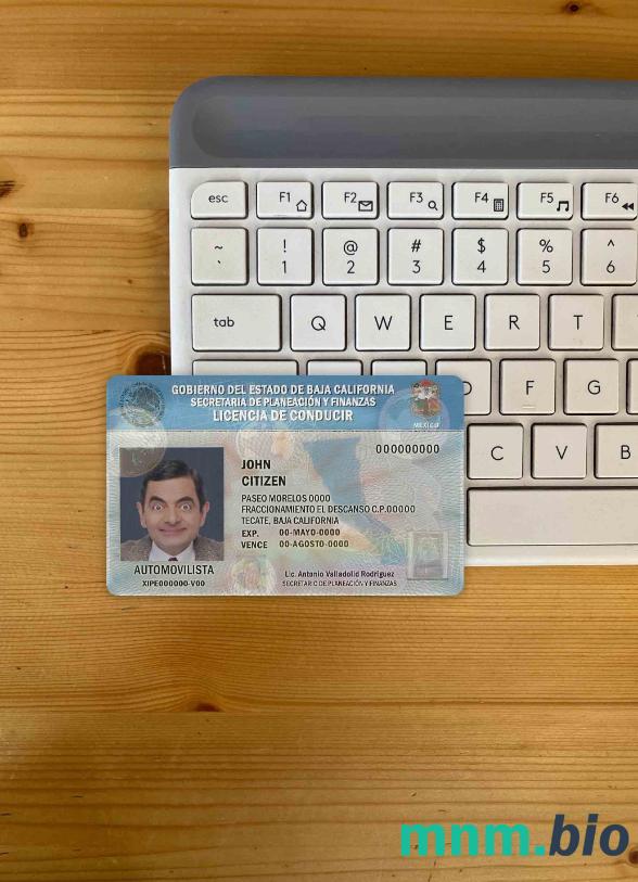 Meksyk Kalifornia Dolna prawo jazdy photolook